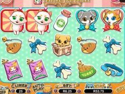 Purrfect Pets